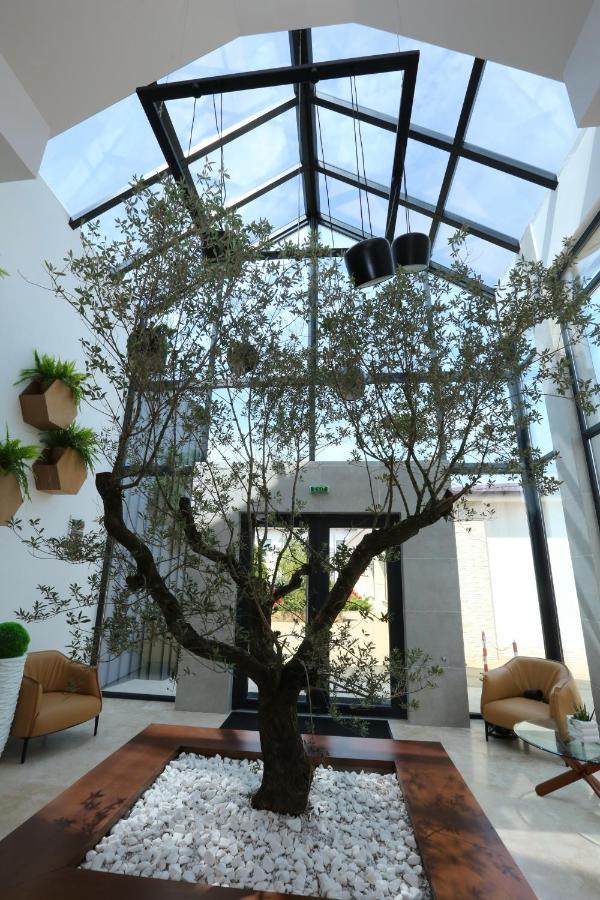 Valentino Rooms Focşani Екстериор снимка